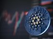 Cardano Network and the ADA Ecosystem